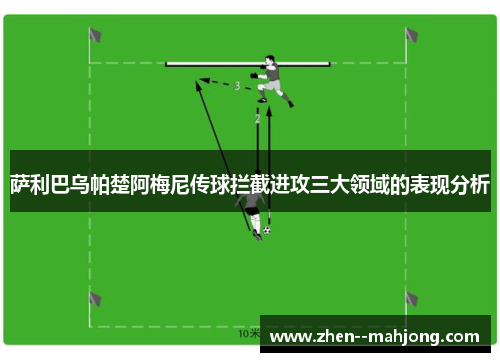萨利巴乌帕楚阿梅尼传球拦截进攻三大领域的表现分析
