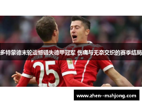 多特蒙德末轮遗憾错失德甲冠军 伤痛与无奈交织的赛季结局